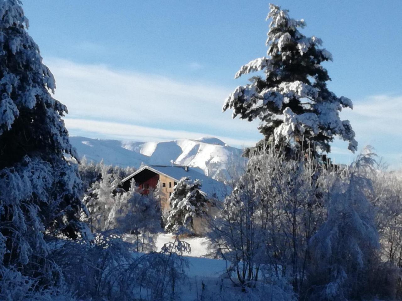 - Domaine De L'adoux Hotel Montclar (Alpes-de-Haute-Provence)